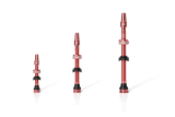 RIdeNow TUBELESS valve kit 65mm