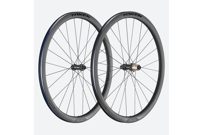 VENTOUS DISC