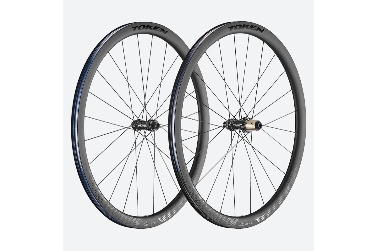 VENTOUS DISC